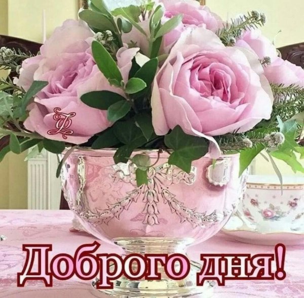 цветы добрый день