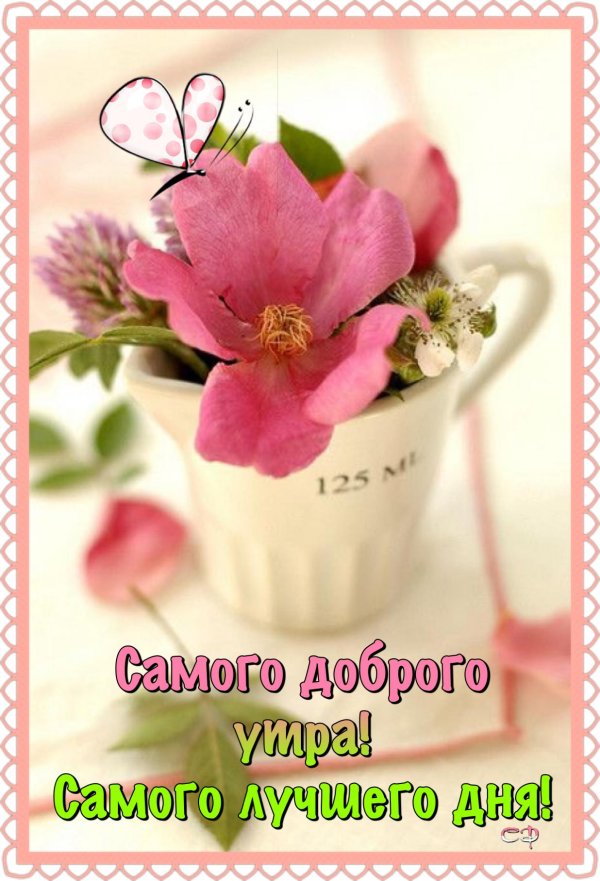 доброе утро хорошего дня нежные