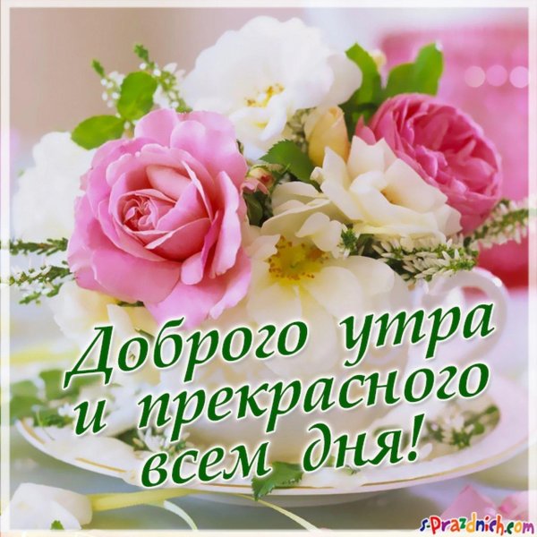 доброго утра прекрасного дня