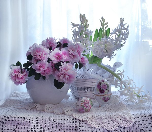 пионы валентины коловой