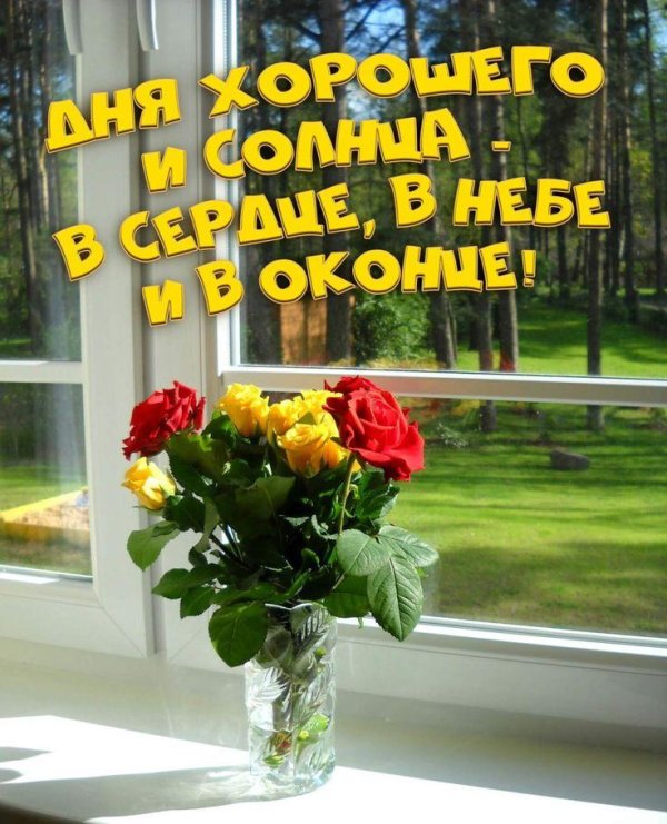 букет на окне