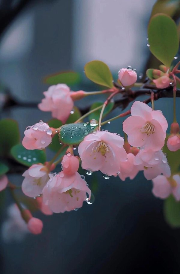 с добрым утром весна