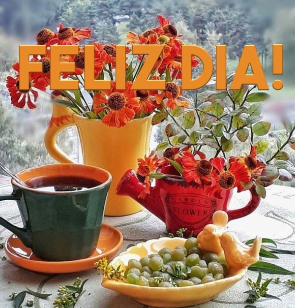 buenos días saludos