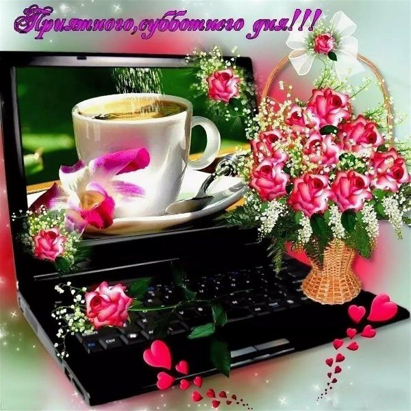 доброе утро добрый день и добрый вечер