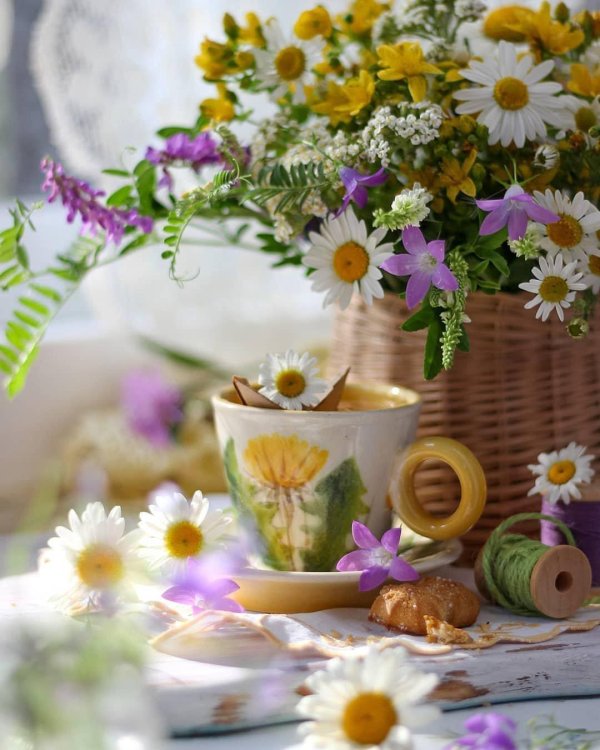 доброго светлого утра