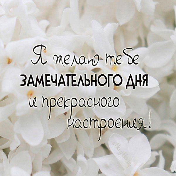 пожелания прекрасного утра