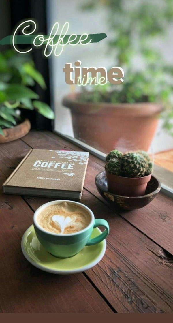 кофейня дейли грин москва