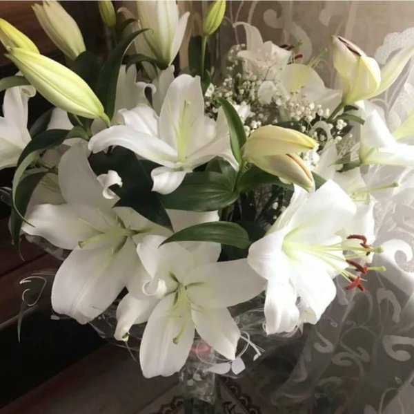 лилия блю крюмон