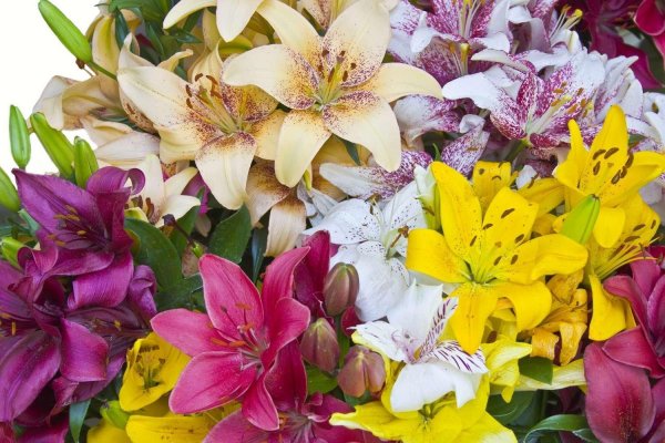 букет лилия и ирисы