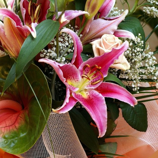 лилия пинк бриллиант