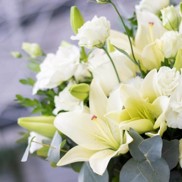 лилия розелли букет