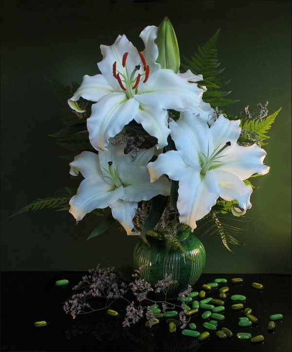 белая лилия цветок