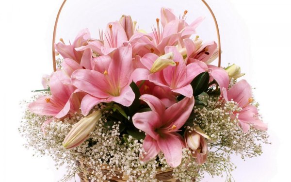 букет 5 лилий