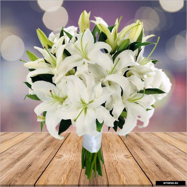 цветы лилии белые