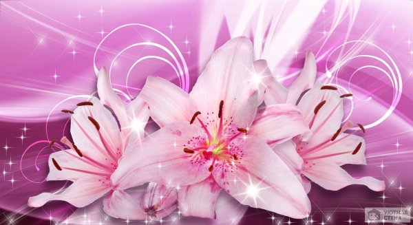 фон с лилиями