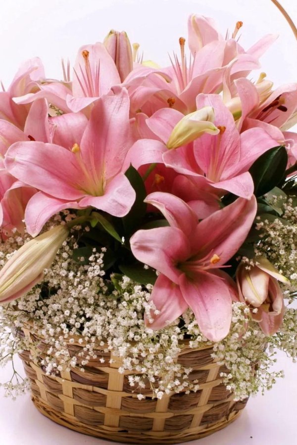 красивый букет с лилиями