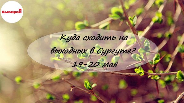 майские праздники