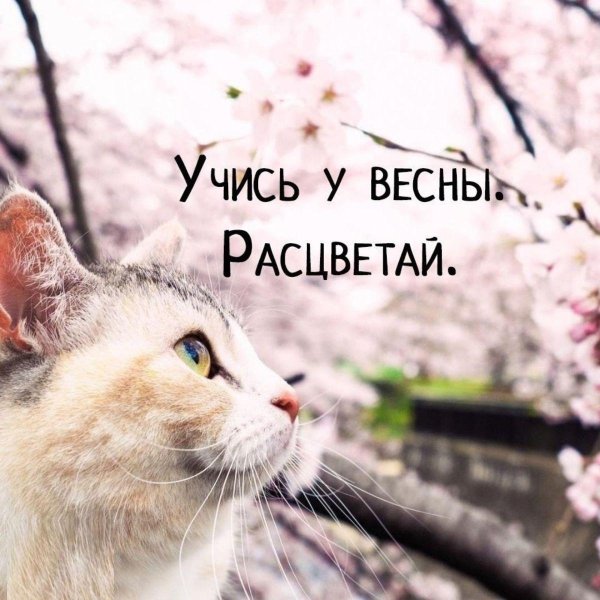 учись у весны расцветай