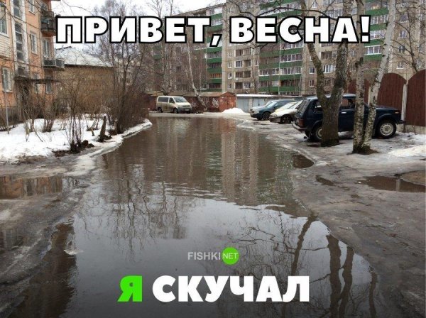 лужи весной