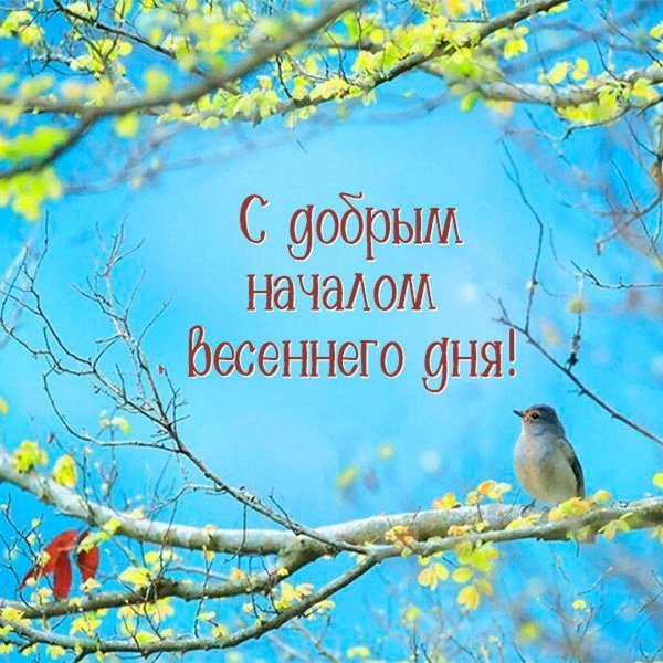 весеннего доброго утра