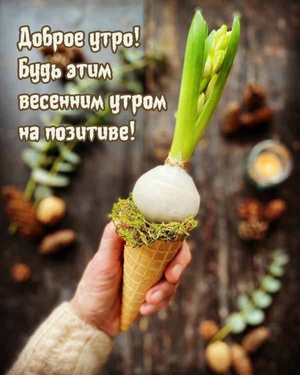доброе утро прикольные весенние