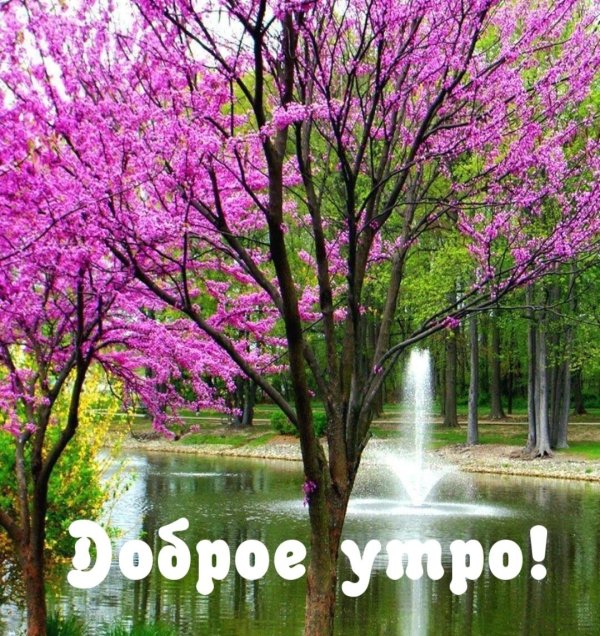 весенние пейзажи