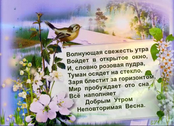 пожелание с добрым весенним утром