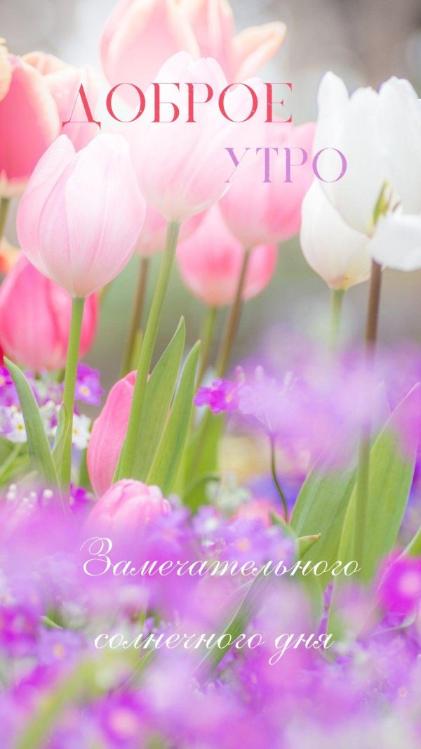 добрейшего весеннего утра