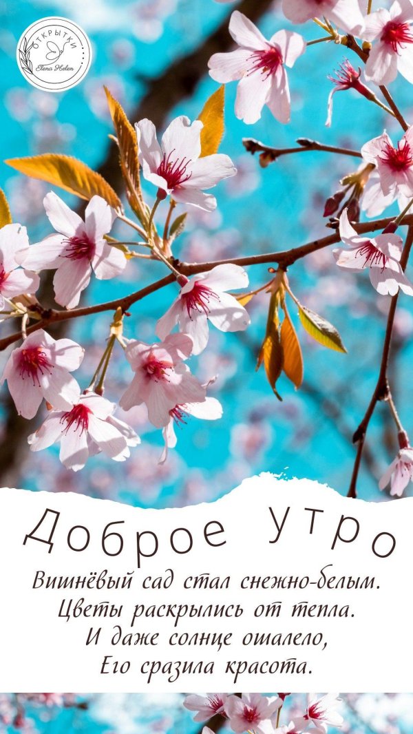 доброе утро доброе утро