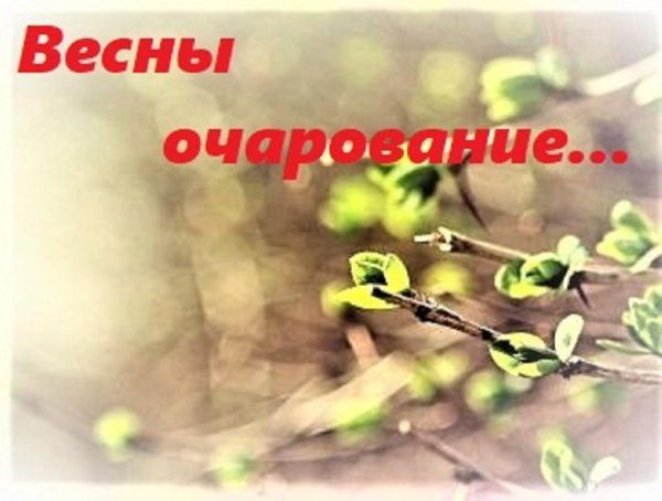 весны очарование надпись