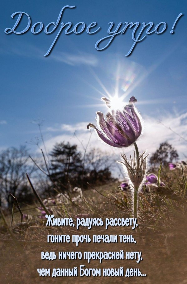 интересные пожелания с добрым утром