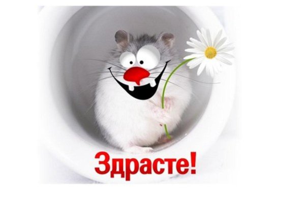 открытки веселые