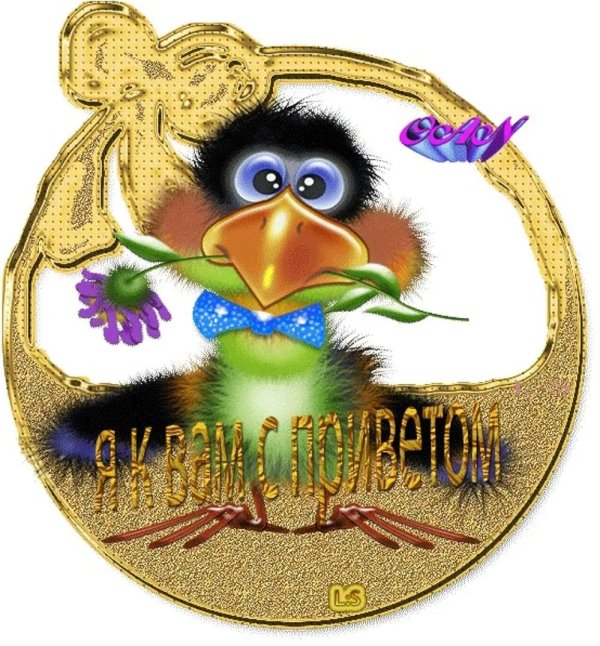 веселая ворона