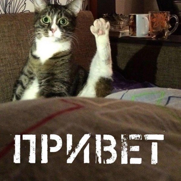 прикол привет
