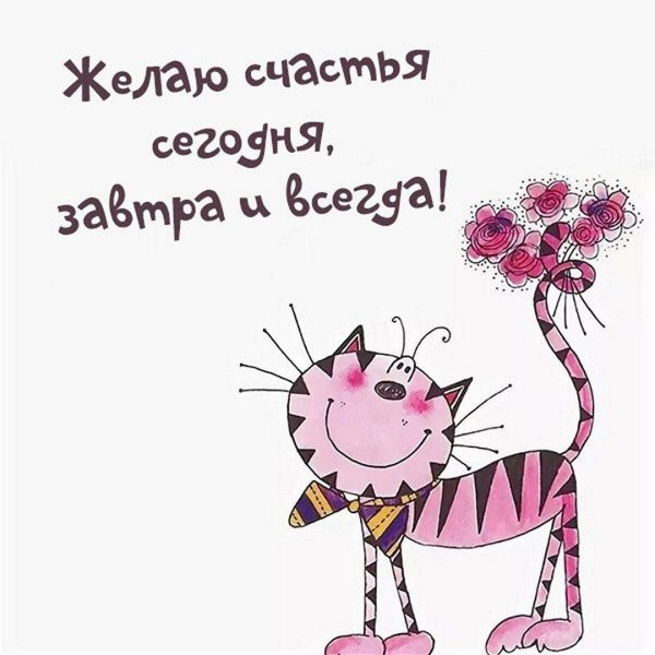 хорошего дня прикольные