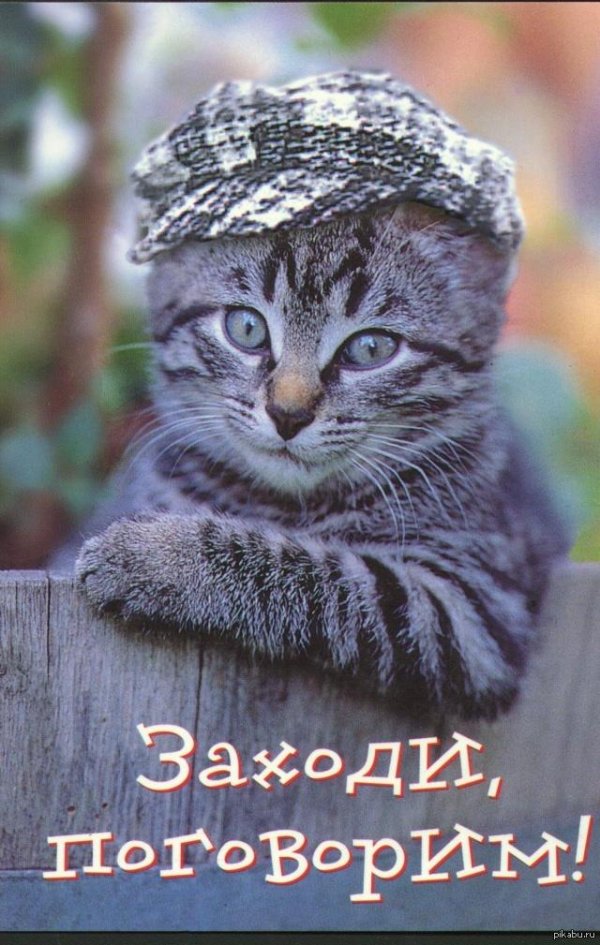 заходи поговорим