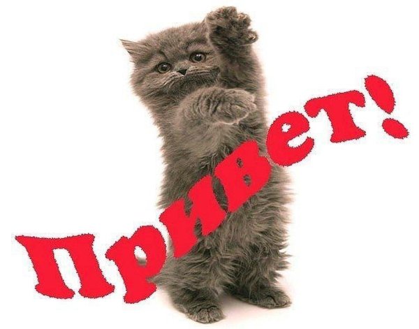 приветик леночка