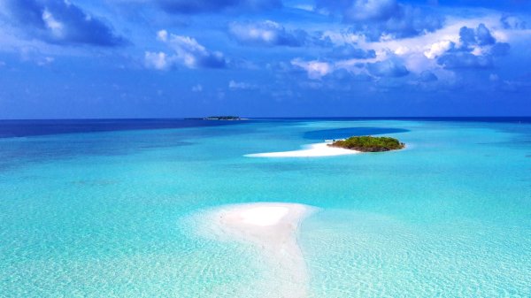 парадиз остров карибского моря