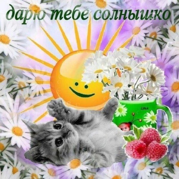 солнечного настроения и удачного дня