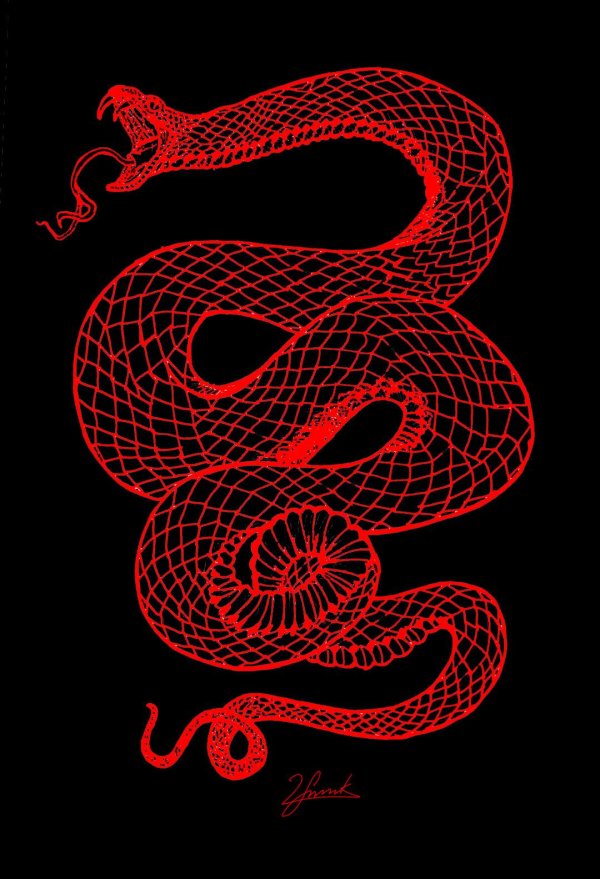 неоновые змеи