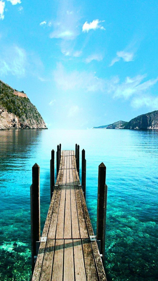 природа вертикальные