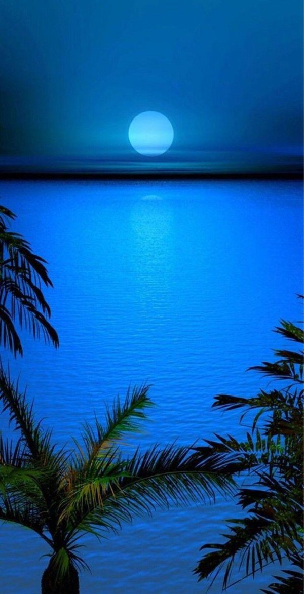 ночной пляж