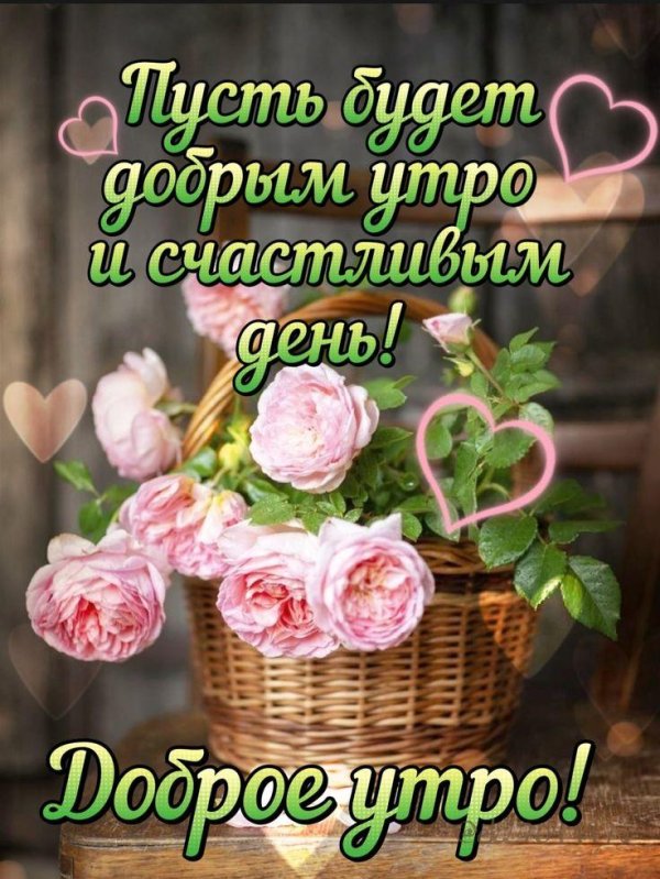 доброе утро и отличного дня и настроения