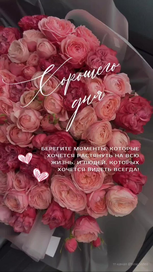 праздничные розы