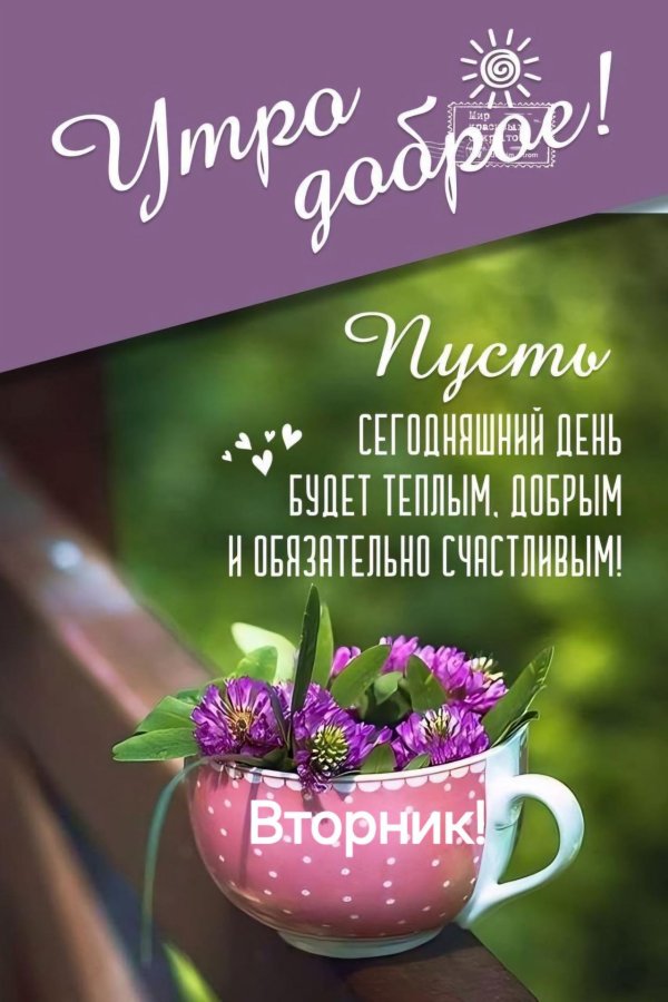 успешного вторника