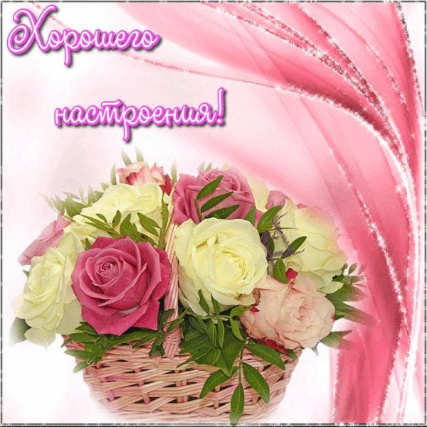 открытки и пожелания