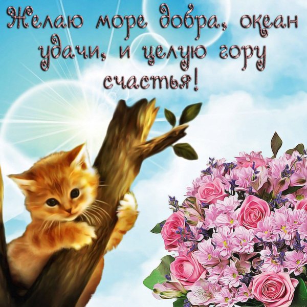 пожелание счастья