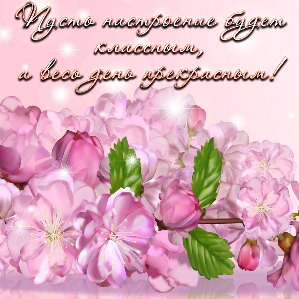 цветочные фоны