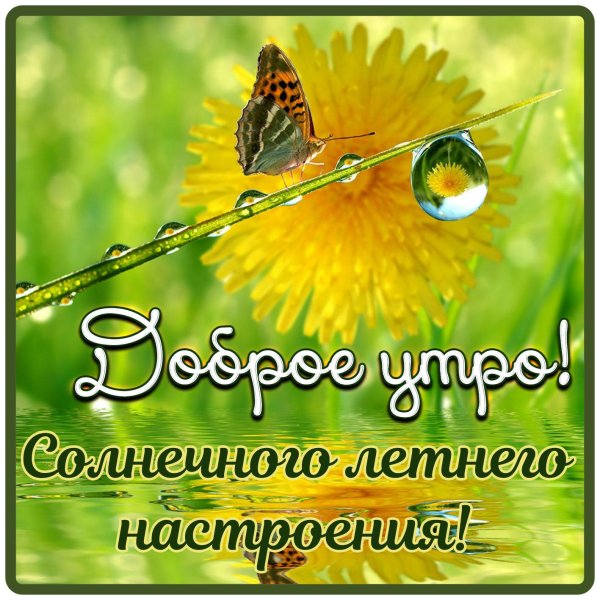 солнечного летнего утра