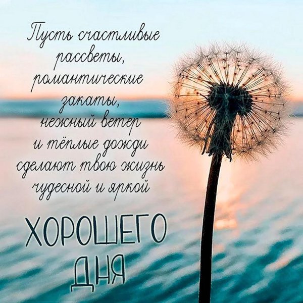 стильные открытки хорошего дня
